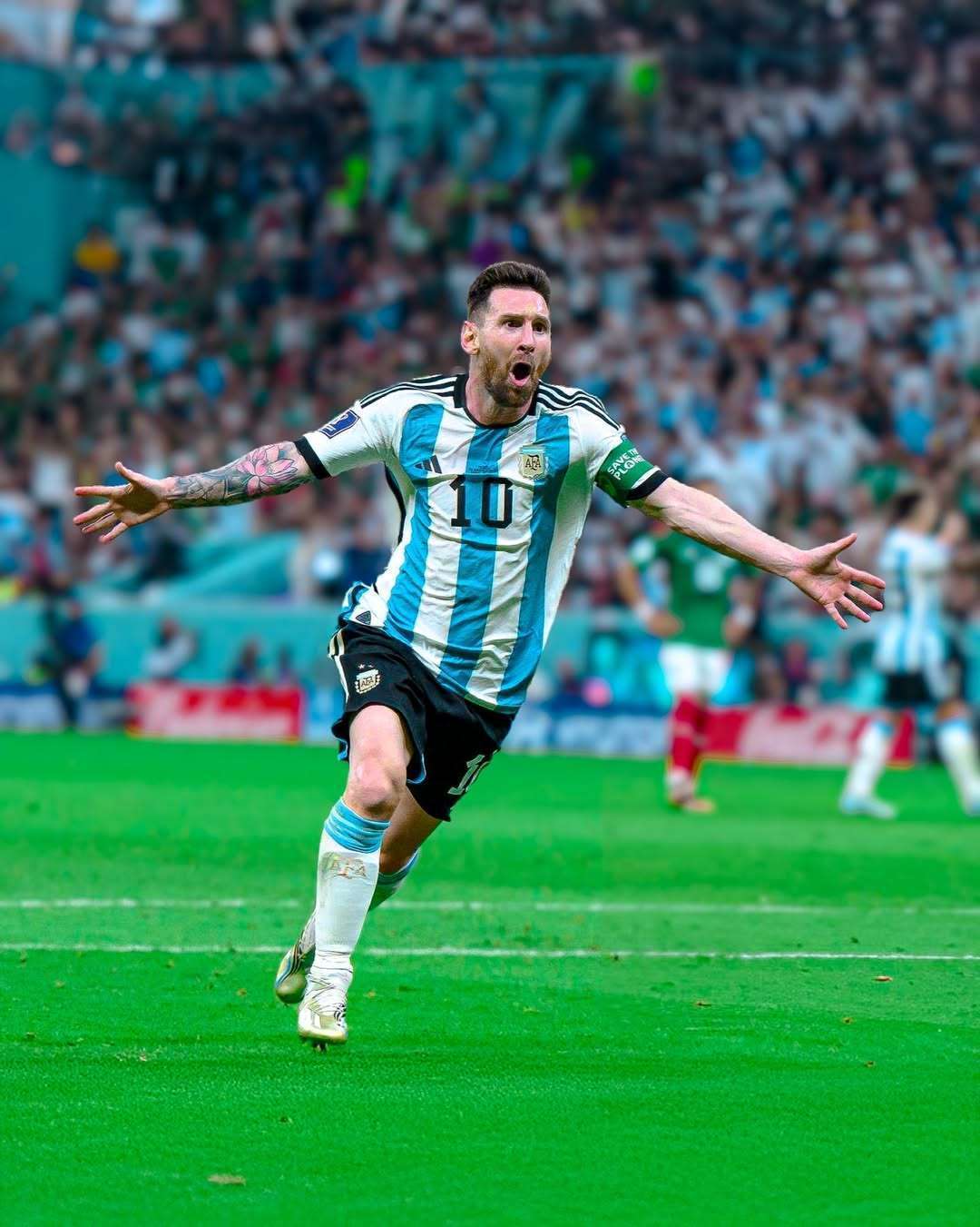 更像是被结 更像是被结