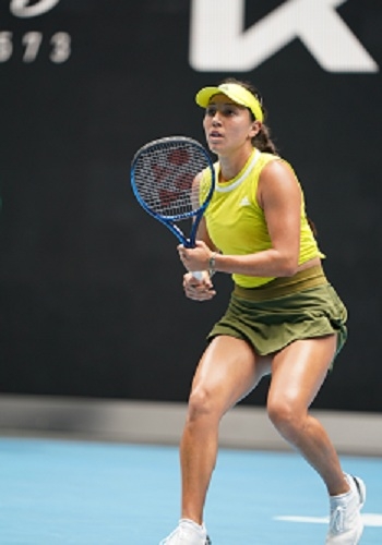 会做什么 会做什么